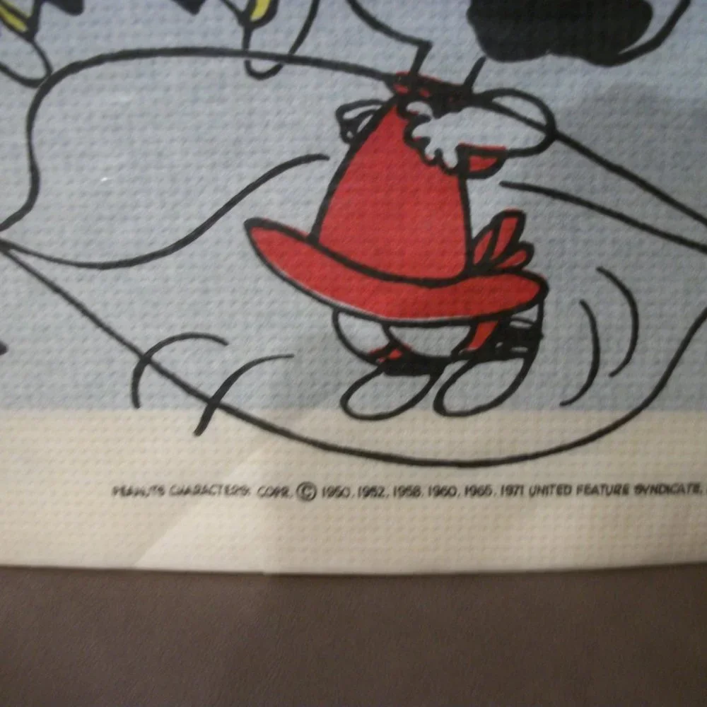 Vintage Peanuts Crepe Paper Tablecloth NIP